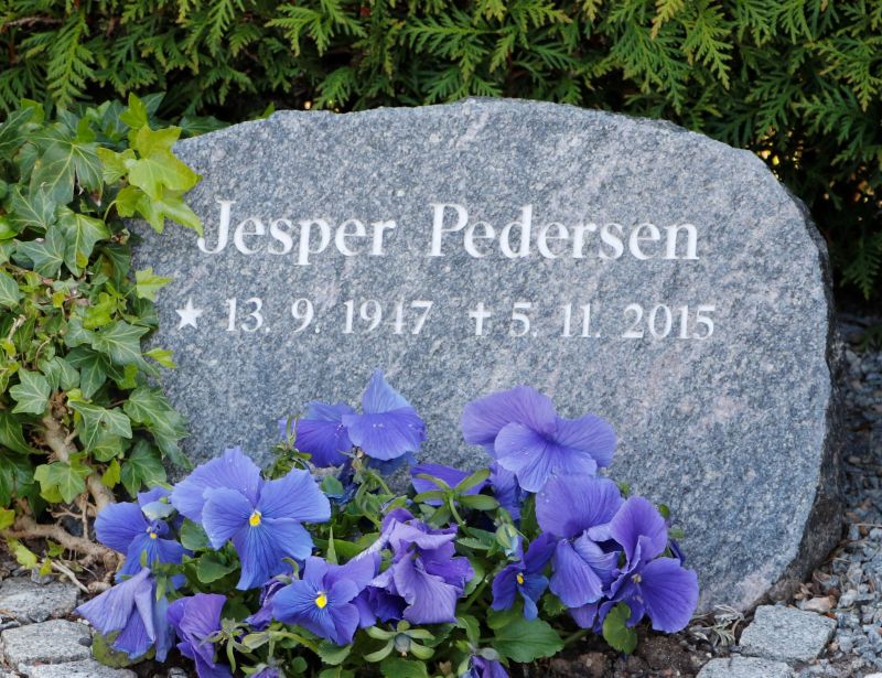 Jesper Pedersen.JPG